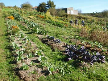 Las-bases-de-un-huerto-ecológico